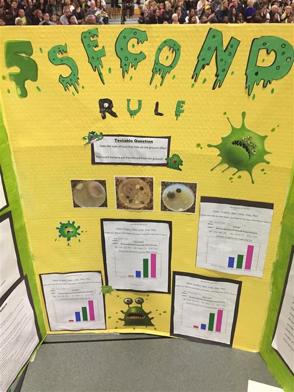 5-second-rule-science-fair-board